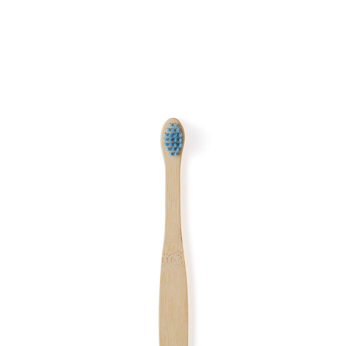 Baby Bamboo Toothbrush Single - Four Colours: Baby Blue
